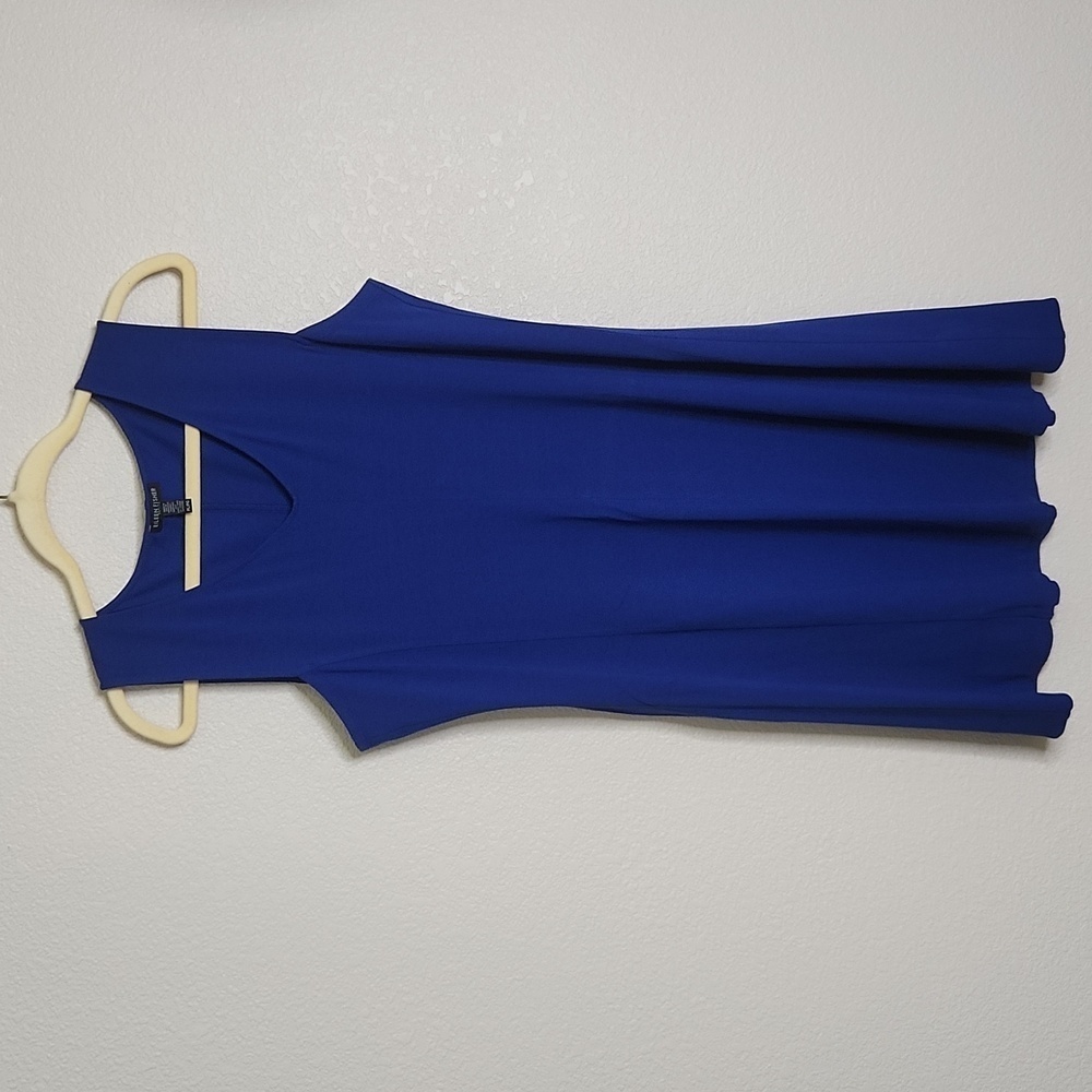 Eileen Fisher vneck blue dress, size PL